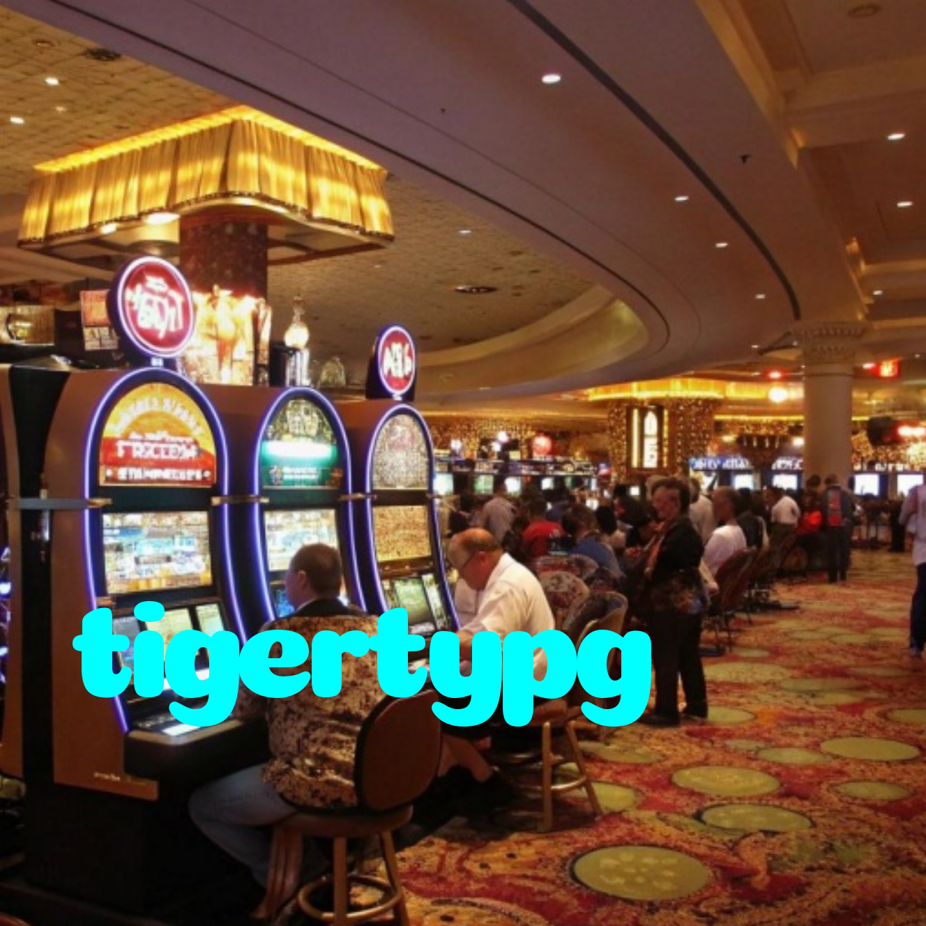 tigertypg