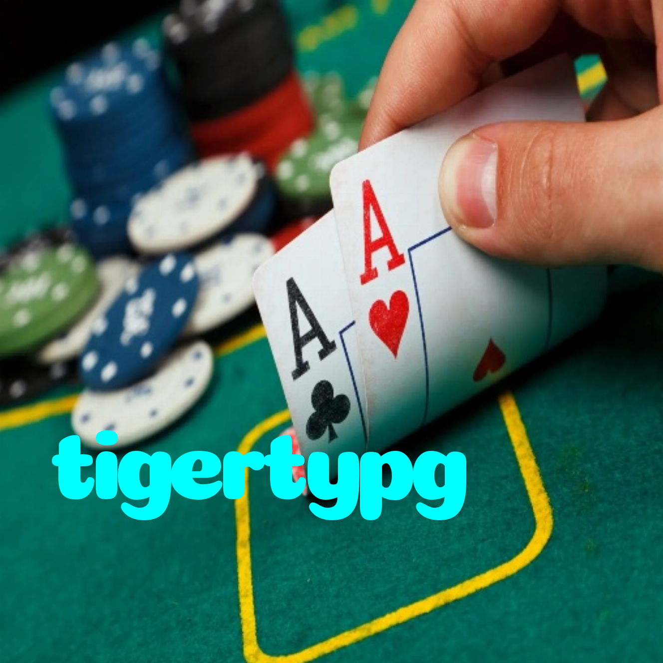 tigertypg